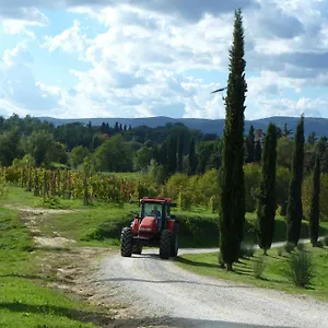 La Grotta Di Montecchino Siena